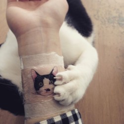 cutesleepygirl:  adorable cat tattoo by soltattoo 