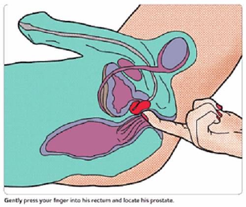  HOW TO GIVE A PROSTATE MASSAGE By WD Before you do anything, the recipient should have a bowel movement (if necessary) and repeat anal douching (enemas) until the water comes out clear. Then wash, of course. Be sure to use a lot of thick, water-based