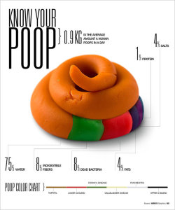 iheartstarsandbows:  pseudoselfaware:  Infographic: Everything You Were Afraid To Ask About Poop  This is actually important and good to know.  Sooo&hellip;knowing your shit is important? Now I have an actual reason to look at my shit in the toilet.