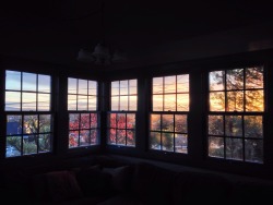 thezartorialist:  morning light from my private digs this week in the bay 