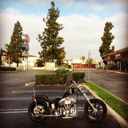 dicemagazine:  Ride to Staples, Office Supplies to Ride. ‘cept they’re not open yet #fuckthisletsride #dicemagazine  (at Staples)
