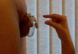 what-is-chastity:   The proper way to size a male chastity device: Measure your man’s penis at its smallest, like when he gets out of a cold shower. The tube should only be about an inch larger than that. If it’s too big, it will hurt him too much