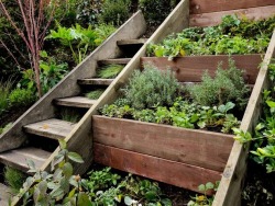 sweetestesthome:  wood retaining wall in the backyard or even on the balcony