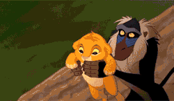 rainbow09:  add-at-its-finest:  nosuchthingasprivacy:  WTF I CAN’T BREATHE OMFG WHAT IS THIS!?!@  the true story     &hellip;for anyone who hasn&rsquo;t seen The Lion King yet