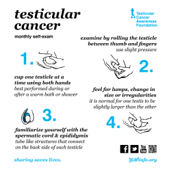 benjiscloset:  dispatchrabbi:  geekhyena:  boy-positive:  kalashnikool:  boy-positive:   – via tcafinfo.org  Dmab folks, it is very important to perform self-exams every month. Be familiar with your body. Early detection is key with all types of cancers.