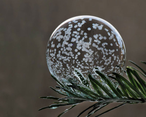 asylum-art:  When You Blow Soap Bubbles in Freezing Cold Weather If you blow soap bubbles in freezing cold weather, amazing crystals of ice form on their surface  starting at the bottom and expanding upwards until the entire bubble is covered. Each bubble