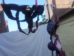 tallulahtightrope:  Spring is here! And as an adult that means laundry day.  Spareparts Hardwear Joque Harness