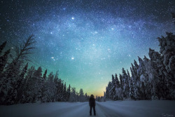 tiinatormanenphotography:  Night walk.  I really love winter nights, cold but there is something very mystical.  21/22th Jan 2015 , Southern Lapland, Finland. by  Tiina Törmänen     www | FB  