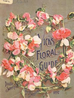 heaveninawildflower:  &lsquo;Double Sweet Peas, Bride of Niagara.&rsquo; Cover of 'Vick&rsquo;s Floral Guide&rsquo; 1897. U.S. Department of Agriculture, National Agricultural Library archive.org 