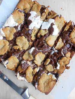 Thecakebar:  Nutella S’mores Bars  Looks Pretty Good
