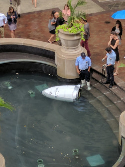 canape-official:  candybaggins:  aku-no-homu:  Our D.C. office building got a security robot. It drowned itself.We were promised flying cars, instead we got suicidal robots. by @bilalfarooqui  NieR: Automata (2017)   Robot: What is my purpose?Inventor: