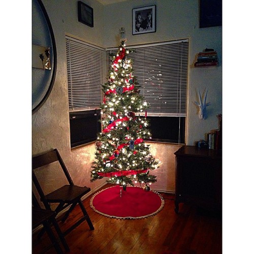 tiffany-cappotelli:  It’s beginning to look alot like Christmas 