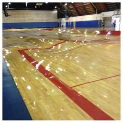 throughthexhole:  deadlinejon:  stunningpicture:  This is what happens to a basketball court when the pipes burst  this is the greatest basketball challenge of all time  Space Jam 2 is looking great 