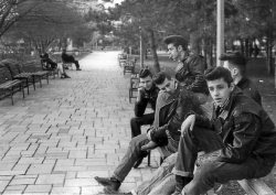 unretrieved:  fabulusly:  wild-soulchiild:  objektid:  American greasers hang out in the park. The greaser subculture began in the 1950s with the advent of rock and roll and era was comprised largely of rebellious, working-class youths obsessed with hot
