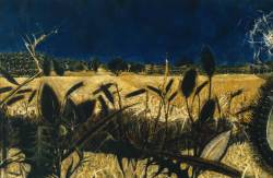 transistoradio:  Alan Reynolds (b.1926), Summer: Young September’s Cornfield (1954), oil on hardboard, 154.9 x 102.2 cm. Collection of Tate, UK. Via Tate. 