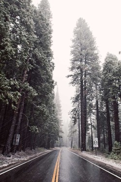 the-absolute-best-photography:  Sierra Storm | Joey