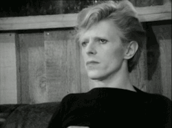 rosiebeck:  RIP David Bowie  08 January 1947 - 10 January 2016 
