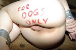 For Dogs Only