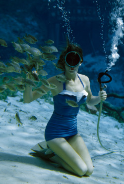 natgeofound: A diver holding a hose for breathing compressed air feeds fish at Weeki Wachee Springs, Florida, January 1955.Photograph by Bates Littlehales, National Geographic