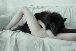 Stay where we were so long alone together, my shade will comfort you. by laura makabresku 