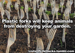 offended-fig: falsepalindrome:  resting-dick-face:   listsoflifehacks: Genius Gardening Hacks I do a lot of this shit. The vinegar and baking soda stuff I’ll have to try. You can also use craft paper that they sell in big rolls at the hardware store