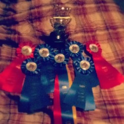 Todays winnings! 4 first place, 2 second place and division champion!! #horse #ribbons #trophy #gymkhana #winners