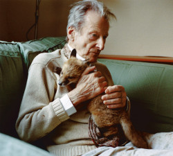 likeafieldmouse:  David Dawson - Working with Lucian Freud (2003-11) 1. Lucian with Fox Cub  2. Lucian Shaving  3. The Painter’s Feet  4. Albie Sitting for his Grandfather  5. Eli in Front of Portrait of the Hound  6. Grey Gelding  7. Lucian