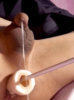 prostate-milking:  Prostate milking massage cumshot orgasm gif
