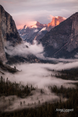sitoutside:   Yosemite Valley fog   by  Kristal Leonard  