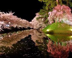 carudamon119:  Axis KaZ‏@axiskkkこれが青森県弘前市の誇る日本１の桜です皆様是非GW中でも桜祭りに足を運んでみてくださいな(∩❛ڡ❛∩)