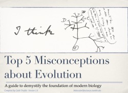 jtotheizzoe:  molecularlifesciences:  Top 5 misconceptions about evolution: A guide to demystify the foundation of modern biology. Version 1.0 Here is an infographic to help inform citizens.  From my experience most people who misunderstand evolution