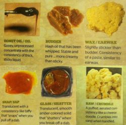 the-dab-junkie:  Know thy Dabs