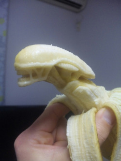 archiemcphee:  These awesome banana carvings are the work of Japanese artist Keisuke Yamada, an electrician by trade and banana sculptor in his spare time. These detailed works of edible art are all the more impressive because they must be made quickly,