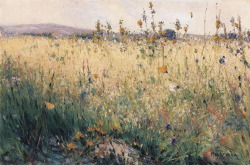 Karl Nordström (1855 Stenkyrka, Västra Götaland – 1923 Drottningholm); Oat Field, Lyrön (1887), oil on canvas enlarge (recommended)