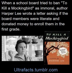 englishmonkey:pizzaismylifepizzaisking:ultrafacts:Early-1966, believing its contents to be “immoral,” the Hanover County School Board in Virginia decided to remove all copies of Harper Lee&rsquo;s classic novel,To Kill a Mockingbird, from the county’s