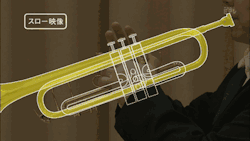 educational-gifs:  How a trumpet works. 