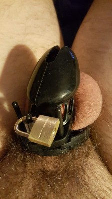 Trying this out&hellip;  still working on the fit and everything.  Thanks @sub-shop-autumn!  Any advice?  #chastity
