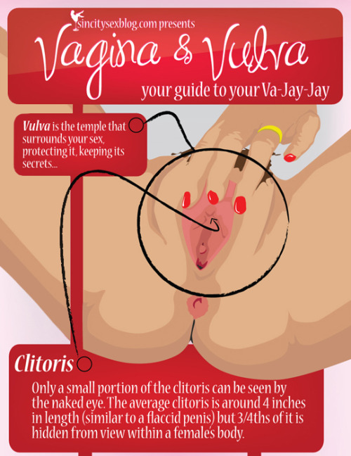 militantbyexistence:  writingsofessencesoul:  loveinterracial:  lilithdiana:  In tribute to #masturbationmonth, here is Vagina & Vulva: Your guide to your Va-Jay-Jay. #InfoGraphic  If you don’t know, now you know  You’re welcome.  Know thy va-jay-jay!