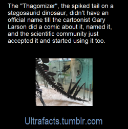 beetle-guy: ultrafacts:  Source: [x] Click HERE for more facts!  