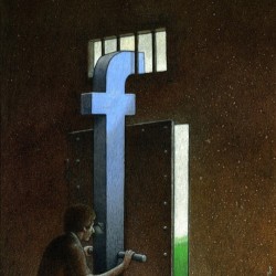 Social media 