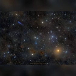 Blue Comet in Hyades #nasa #apod #deepskycolors #hyades #hyadesstarcluster #starcluster #constellation #taurus #star #aldebaran #redgiant #stars #comet #c2016r2 #panstarrs #orbit #solarsystem #interstellar #milkyway #galaxy #space #science #astronomy