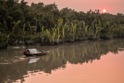 Soon-Monsoon:  Sundarbans, Khulna Division, Bangladesh By Naser Tanna  