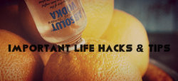 fabulusly:  sailbo4ts:  protozoma:  oxw:  These posts actually make my life so much easier &lt;3 15 Life Hacks (ex. Charge Your Phone Faster!) 5 Life Tips That You Need (ex. No drip Ice Pack) How To HACK Your Booze (ex. Stapler Bottle Opener) Secret