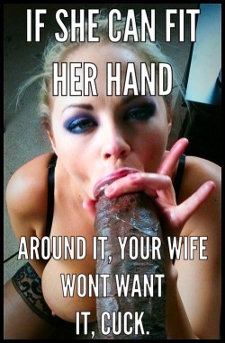 cuckhwh:  Become a chastity cuck slave!For