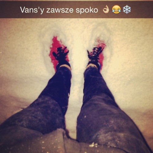 XXX #snow #winter #& #vans  photo