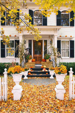 whiteandbi:  Perfect Autumn Entryway at Fire in the Glass Tumblr on We Heart It. http://weheartit.com/entry/80740290
