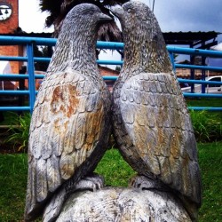 Estatua Palomas #statue #pigeons