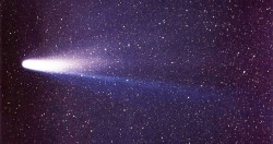 astronomyblog:    Halley’s Comet on 8 March