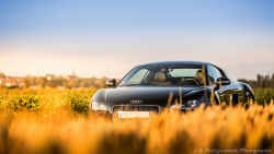 automotivated:  Audi R8 by Stouf_V6 on Flickr.