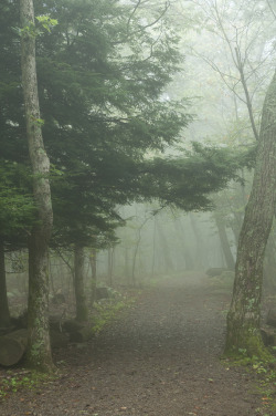 ominousraincloud:Hawksbill Mountain Trail